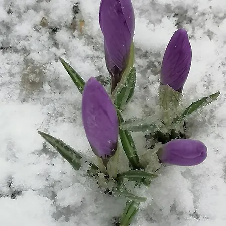 Сasa de vacaciones Natasa *