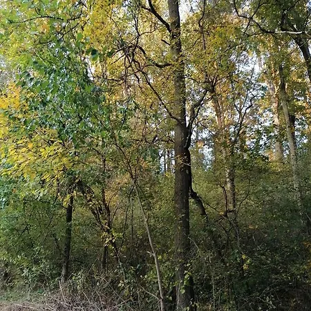 Natasa Сasa de vacaciones Divčibare