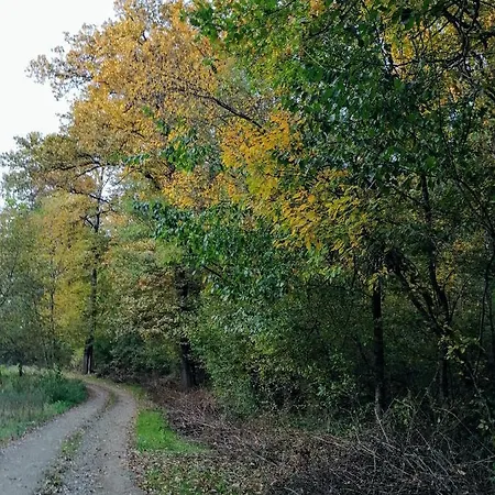 Natasa Сasa de vacaciones Divčibare