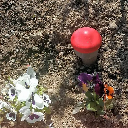 Сasa de vacaciones Natasa