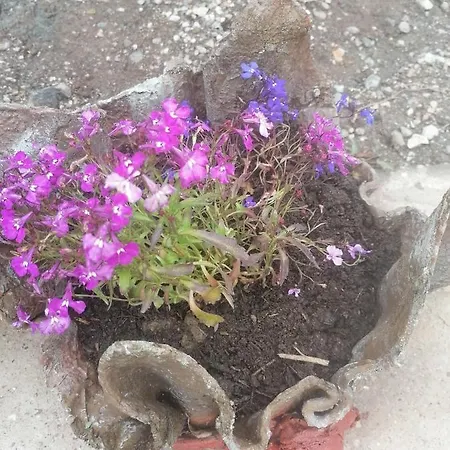 Natasa Tatil Evi Divčibare