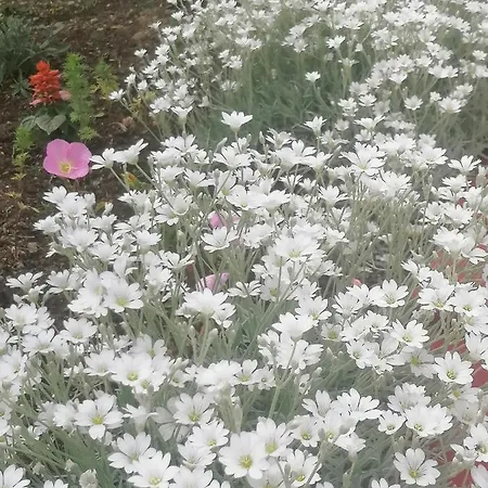 Natasa Сasa de vacaciones *